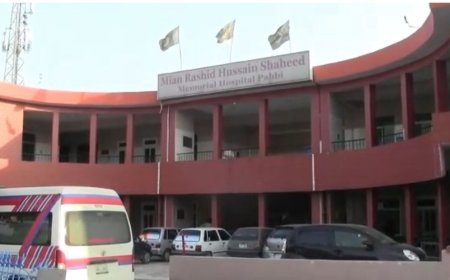 نوښار، خواجه سرا دملګري سره قتل کړے شو