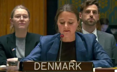 ټي ټي پي دسيمې  لپاره يوه سنګينه خطره ده،ډنمارک