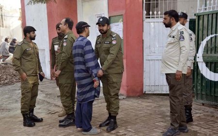 ١٣ؤ حلقو کښې ضمني ټاکنې، پنجاب کښې دليګي اميدوارانو برتري