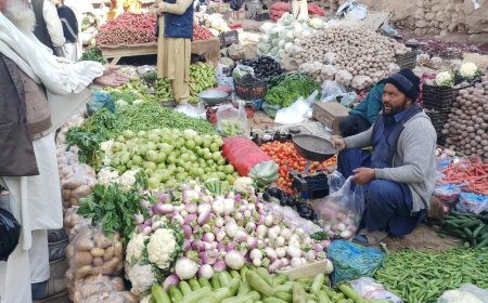 دلنډي کوتل بازار رنګړ کښې دسبزيانو نرخونه ډير راکم شول