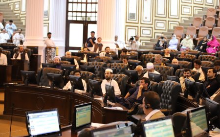 خېبرپښتونخوا اسمبلي اين ايف سي کښې دصوبې دبرخې اخستو لپاره متحد