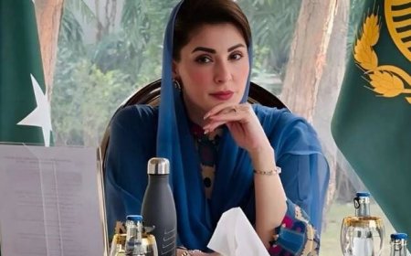 هري پور کښې دشير په حق کښې دفيصلې پشا نااهلي ده،مريم نواز