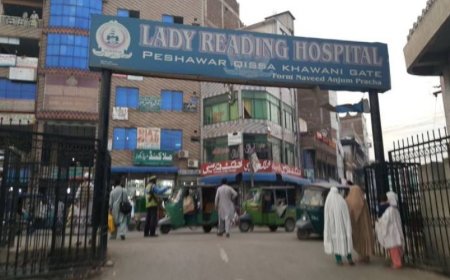 دوزيراعلى ددورې نه پس دايل ار ايچ ډائريکټر دعهدې نه فارغ