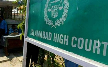 دجسټس  طارق جهانګيري انکشافات، داسلام اباد هائيکورټ په چيف جسټس  دمس کنډکټ الزام