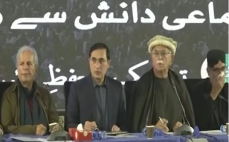 داپوزيشن قومي کانفرنس: دسياسي مشرانو، وکيلانو اؤ صحافيانو داسټېبلشمنټ خلاف په مزاحمت اتفاق