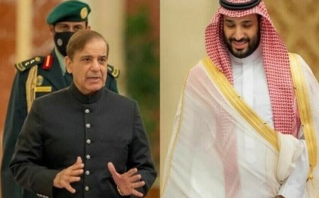 دوزيراعظم اؤ محمد بن سلمان ترمينځ رابطه، دحکومت سعودي عرب سره ديکجهتۍ اظهار