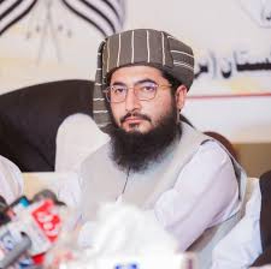 دافغان علماؤ لخوا دافغان خاورې دنورو په ضد  دنۀ استعمالولو فتوه مثبت پرمختګ دے،مولانا عبدالحق ثاني