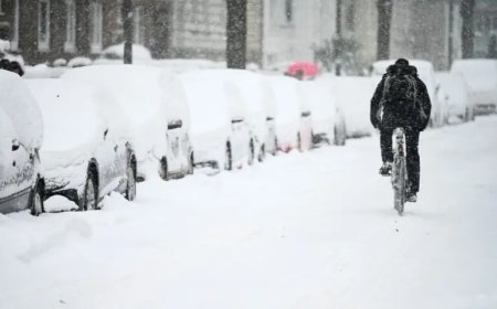 امريکا کښې دواورې دورښت ريکارډ مات شو،دمړو شمير ٦٥ ته ورسيدو