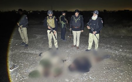 پېښور،سنګينو مقدمو کښې مطلوب دوه شوکمار ژوبل حالت کښې ګرفتار