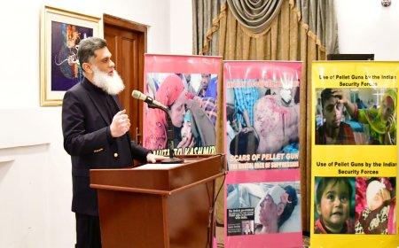 دکشميريانو اؤ پاکستانيانو قسمتونه ديو بل سره تړلي دي، عبيدالرحمان نظاماني