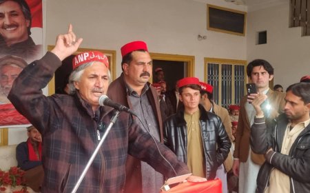 خېبرپښتونخوا کښې د٥٠ؤ لکو نه زيات ماشومان دسکولونو نه بهر دي، سردار حسين بابک