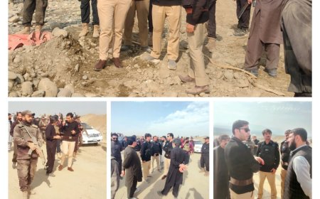 نوښار کښې دپلے سر ګولډمائيننګ خلاف مشترکه موثره اپريشن،١٧ کسان ګرفتار،ګڼ مرکزونه ړنګ