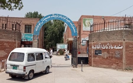 کوهاټ کې د ښځينه ډاکټرې وژل کېدو خلاف د ډاکټرانو کاربنديز دوام لري