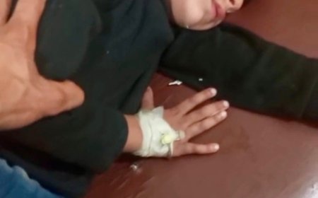 نوښار، دسپي چيچلو دويکسينو نۀ ترلاسه کيدو له امله دليونو سپو خوړلي شپږ کلن ماشوم ساه ورکړه