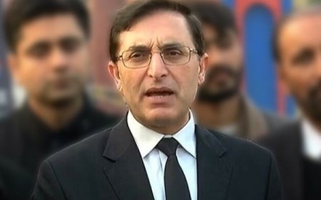 کۀ دانصاف مطابق فيصلې کيدے نو عمران خان به تراوسه رها شوے وے،بيرسټر ګوهر