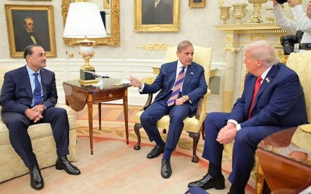 امريکې ايران ته دپاکستان دلارې دامن ١٥نکاتي پلان وړاندې کړو