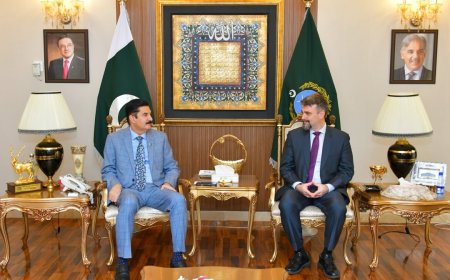 دخېبرپښتونخوا دګورنر دپېښور دامريکائي قونصليټ جنرل ددفتر  دبندولو په تجويز دتشويش اظهار