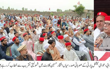 ايران په عزم او حوصلې سره سپر پاور په مذاکراتو مجبور کړو، ميا افتخار